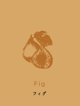 フィグ