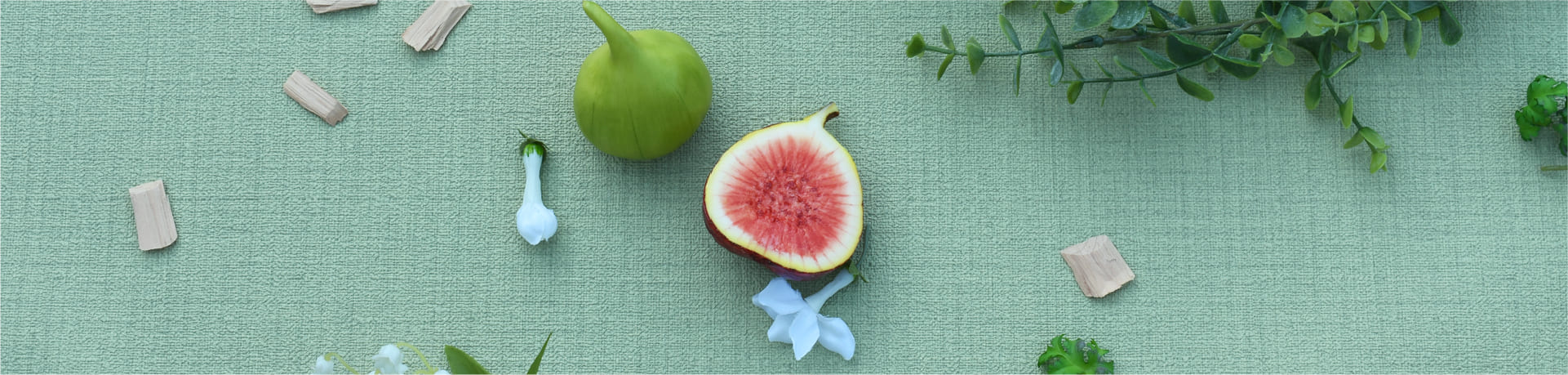 Fig フィグ