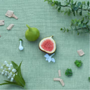 Fig