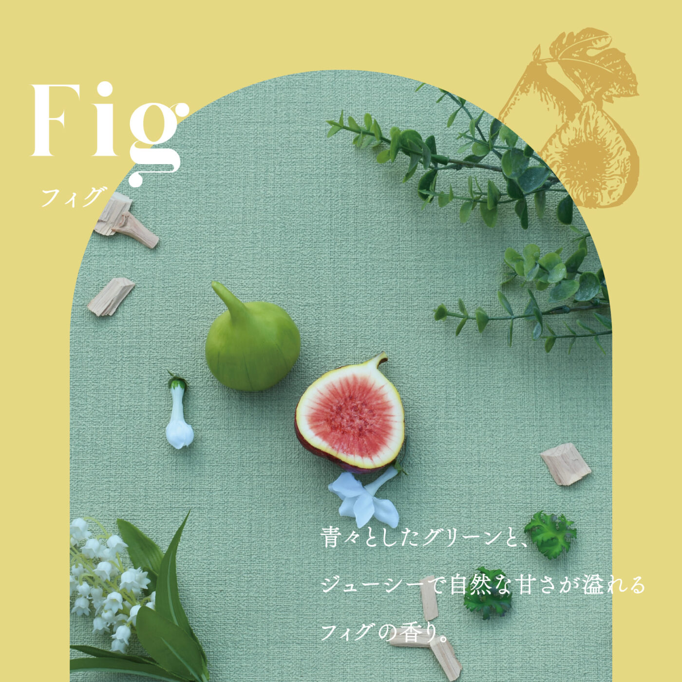 フィグ 青々としたグリーンと、ジューシーで自然な甘さが溢れるフィグの香り。