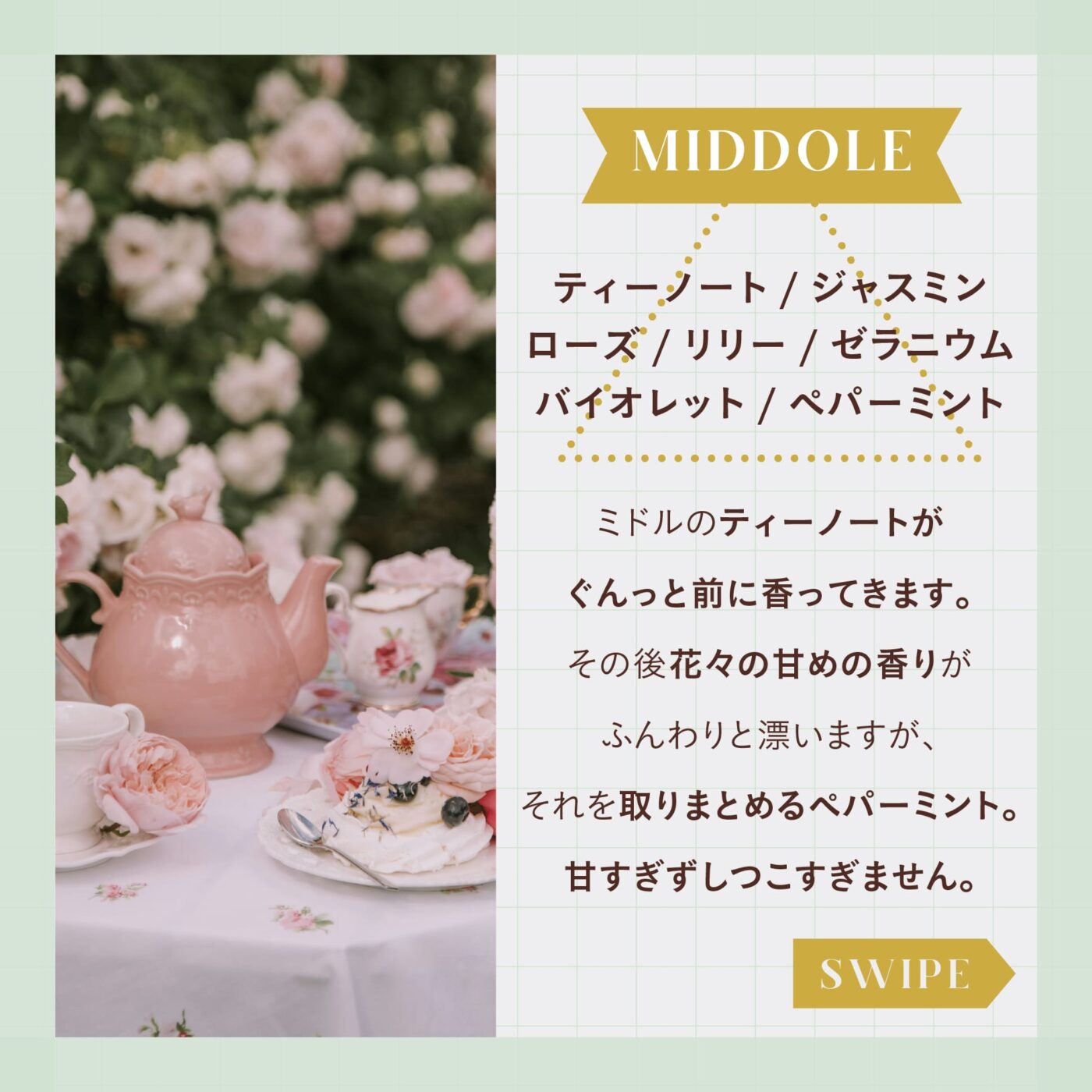 MIDDLE ティーノート・ジャスミン・ローズ・リリー・ゼラニウム・バイオレット・ペパーミント ミドルのティーノートがぐんっと前に香ってきます。 ふんわりと漂いますが、それを取りまとめるペパーミント。甘すぎずしつこすぎません。 スワイプ