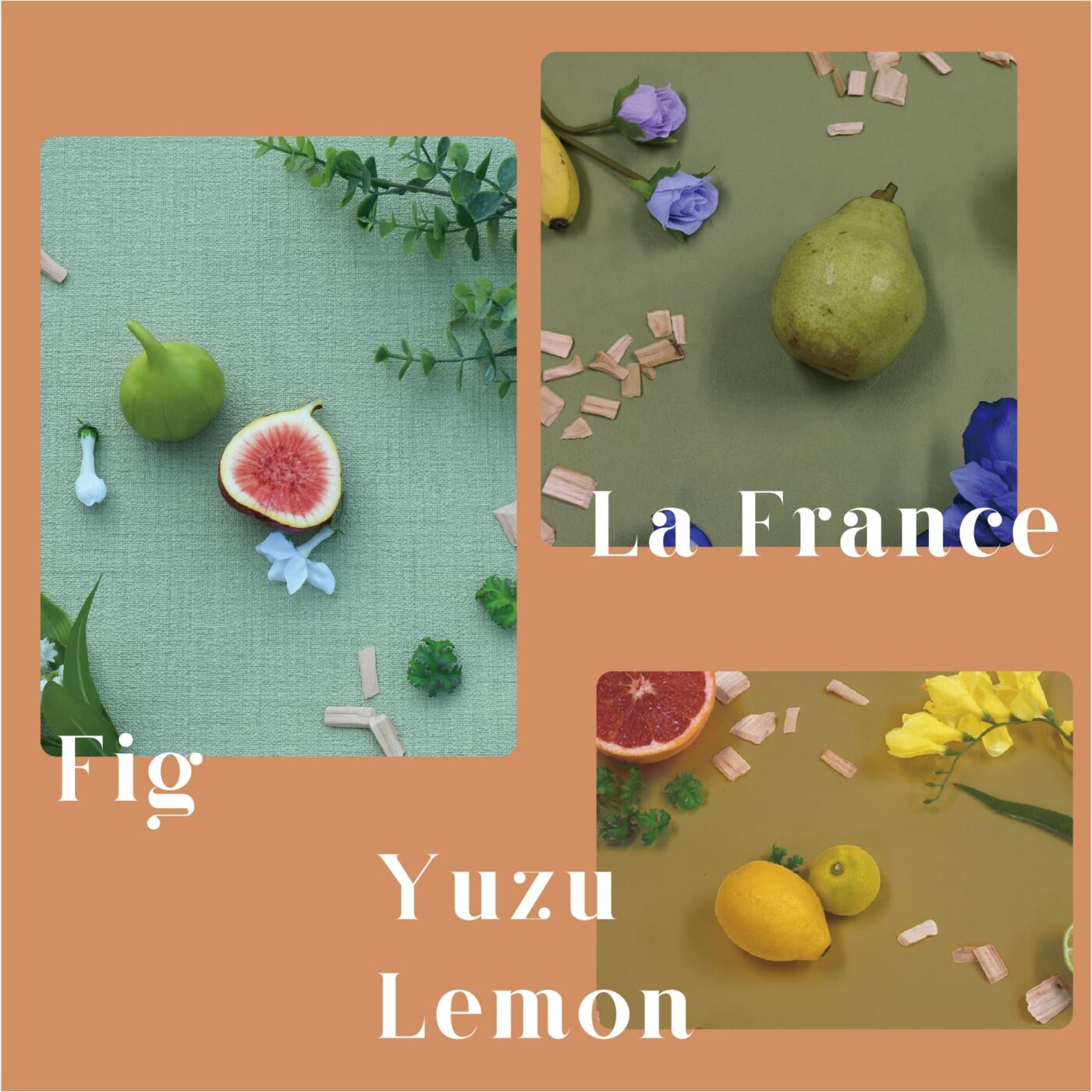 La France Fig Yuzu Lemonの香りイメージ画像