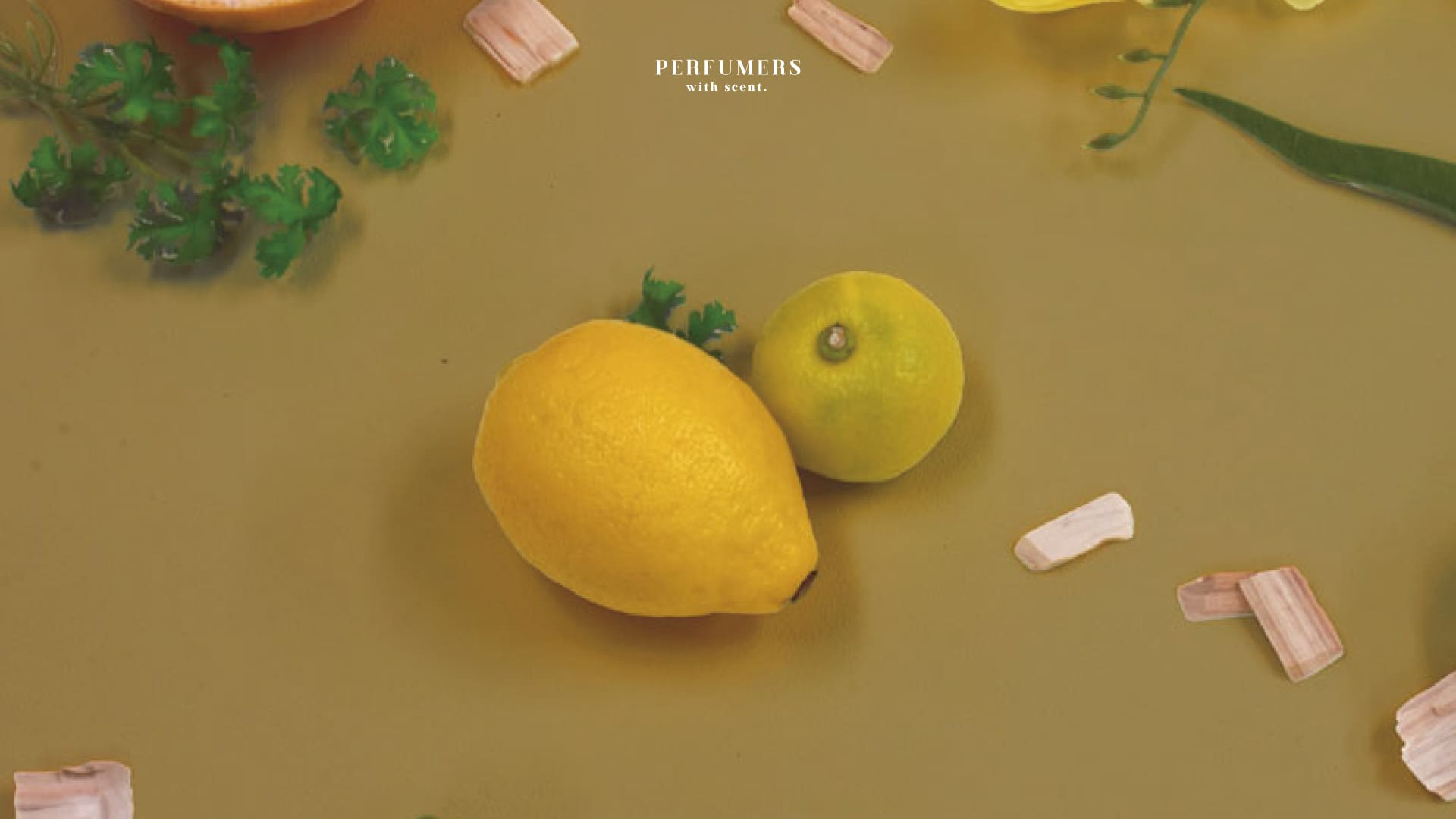 🍋Fruit Collection：Yuzu Lemon