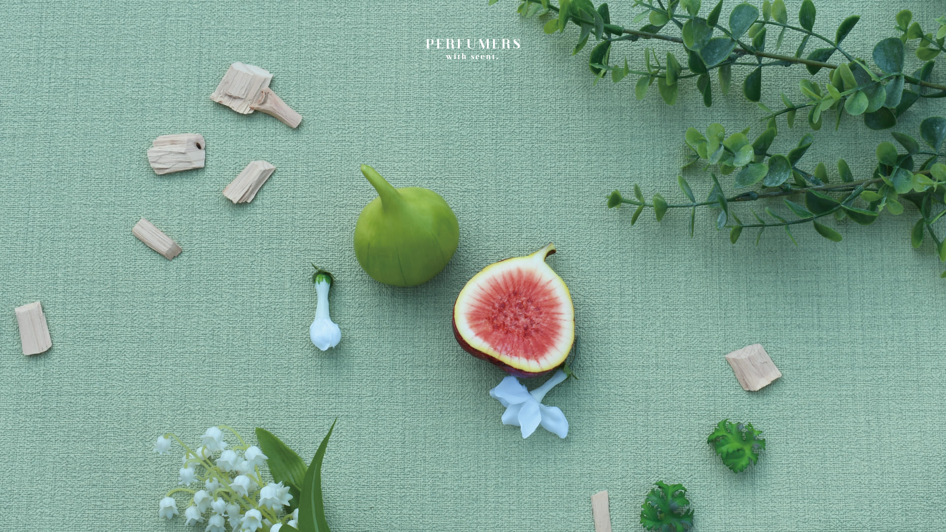 🌿Fruit Collection：Fig