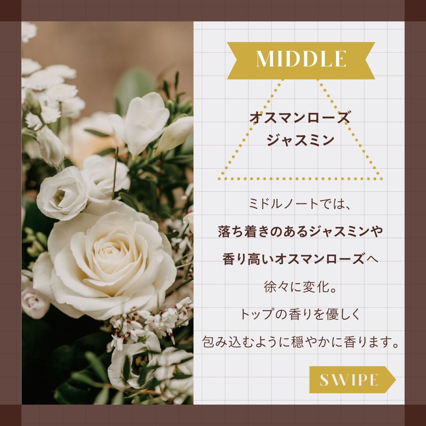 MIDDLE オスマンローズ ジャスミン ミドルノートでは、落ち着きのあるジャスミンや香り高いオスマンローズへ徐々に変化。 トップの香りを優しく包み込むように穏やかに香ります。 スワイプ