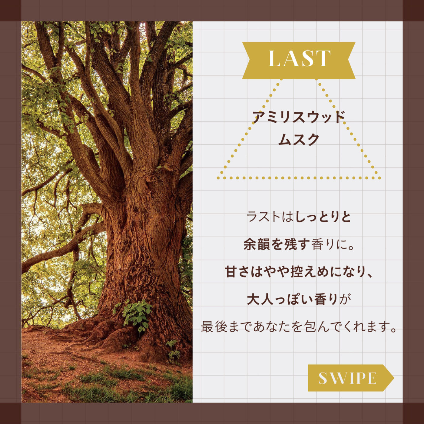 LAST アミリスウッド ムスク ラストはしっとりと余韻を残す香りに。 甘さはやや控えめになり、大人っぽう香りが最後まであなたを包んでくれます。 スワイプ